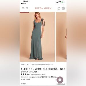 Birdy Grey Alex Convertible bridesmaids dress